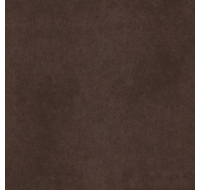 CA03 30x30x8 Непол. (Керамический гранит)