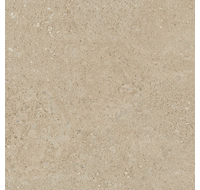 NP02 405x405x8 Непол. (Керамический гранит) (43296 м2)