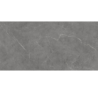 Protiles Керамогранит Alicante grey