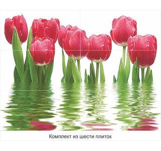 Нефрит Керамика Вставка 750х1000х9 Тюльпаны светлый 06-01-1-64-04-21-160-0 компл