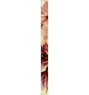 Мир керамики Бордюр Emperador Beige L-823 50х600
