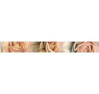 Бордюр Manhattan L-843 beige 60х600