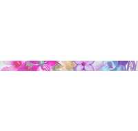 Мир керамики Бордюр Niza Listelo 805 Lavanda 50х600