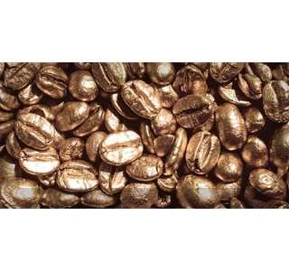 Absolut Keramika Декор Coffe beans 01 100х200