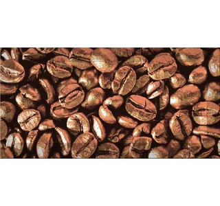Absolut Keramika Декор Coffe beans 03 100х200
