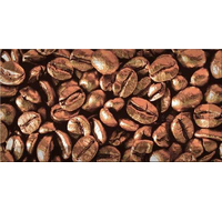 Декор Coffe beans 03 100x200
