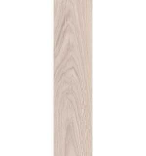 Albero каштан. SG708700R