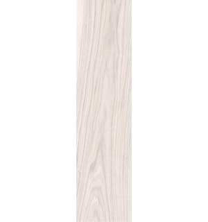 Albero капучино SG708300R