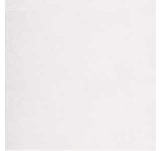 Antre White FT3ANR00 Керамогранит матовый 410х410