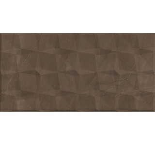 Декор Pulpis Brown W M/STR 310х610 NR Glossy 1