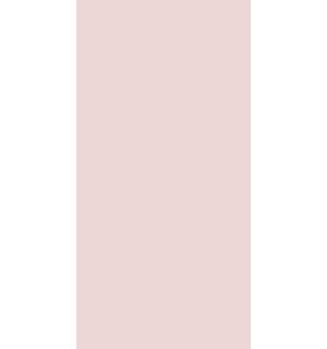 Плитка Mono rose 30х60