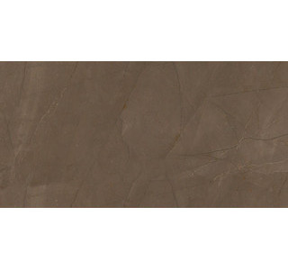 Плитка Pulpis Brown W M 310х610 NR Glossy 1