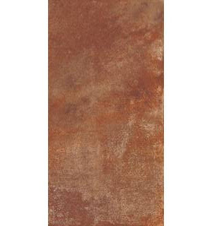 Плитка Urban Rust M 310х610 NR Glossy 1