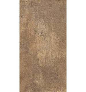 Плитка Urban Rustic W M 310х610 NR Glossy 1
