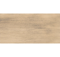 Плитка Naomi Wood Brown 300х600