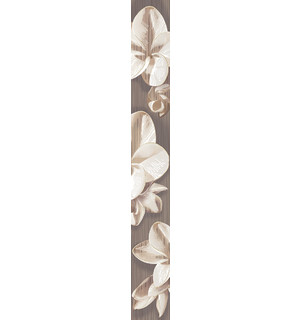 Azori Бордюр Amati Plumera Alba 505х62