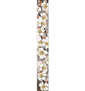 Azori Бордюр Amati Sakyra 50.5*6.2