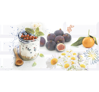 Декор Vogue Morning 1 201х405