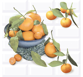 Панно Vogue Citrus 2 402х405