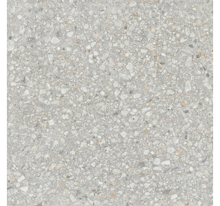 AG21 60x60x10 Непол.Рект. (Керамический гранит)