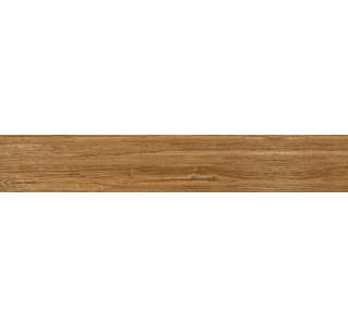 Nature Caramel MAT 200х1200 E22N