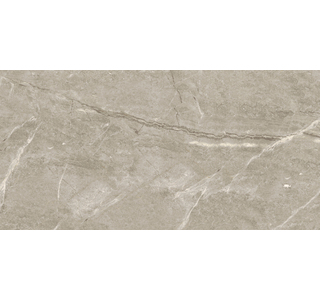 Breccia Silver Venato POL 1200х600
