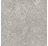 Voyager Grey 60 Ret/Вояджер Грэй 60 Рет 600х600 (610010002764)
