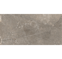 GT122VG Плитка облиц. Siluet GT Кор. 250х500 _ 1 \74,25