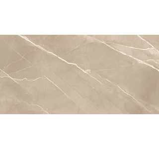 60120ESE21P Essential Marron Керамогранит полированный 600х1200