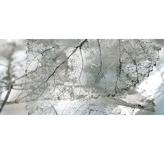 Д61071-1 Декор Magia сер. 50х23
